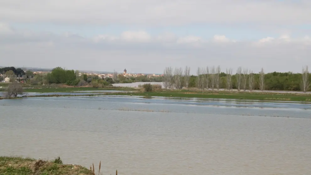 El Ebro, a su paso por El Burgo de Ebro este sábado por la mañana.