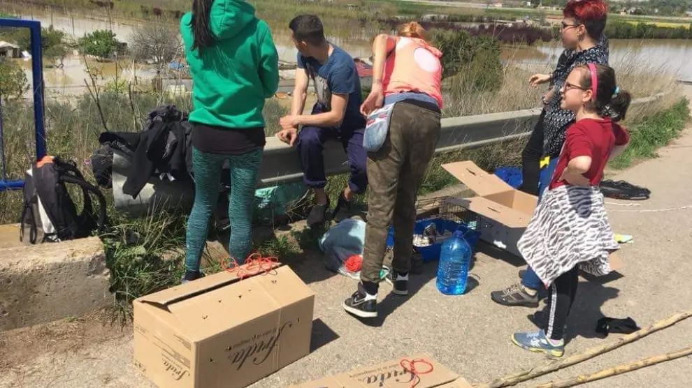 Los activistas contaban con sus propios equipos para rescatar a los animales de la riada.