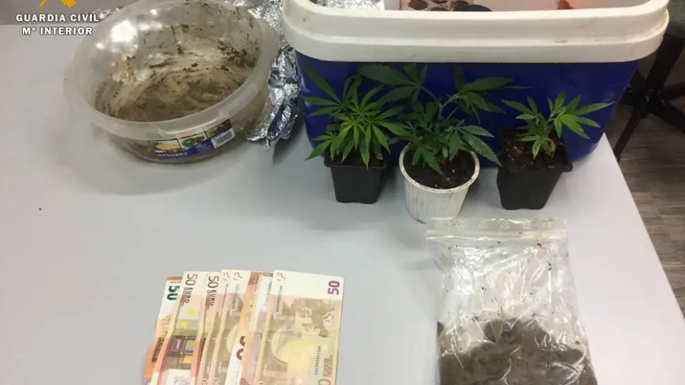 En el maletero del turismo fueron hallados 245 gramos de polen de hachís, 3 plantas de marihuana y 550 euros