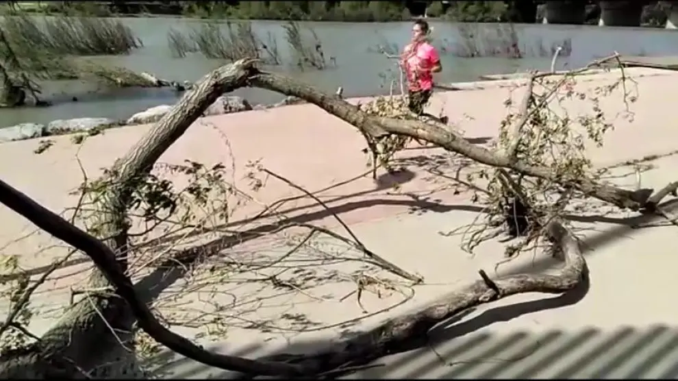 Farolas rotas y troncos arrancados se acumulan en la ribera del Ebro