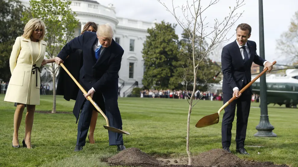 Trump y Macron plantando el árbol con el que el mandatario francés le obsequió en su visita de Estado.