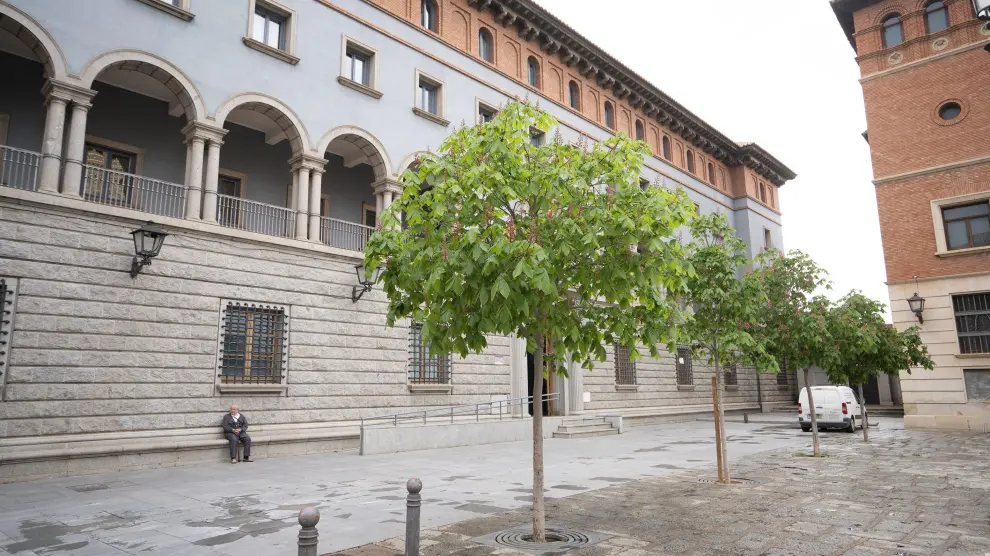 Algunos de los pocos árboles del Centro Histórico están en la plaza del Seminario.