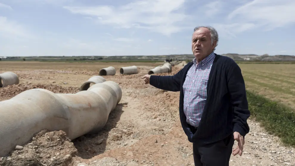 Rafael Abenia, concejal de Agricultura de Quinto, muestra el estado de la huerta
