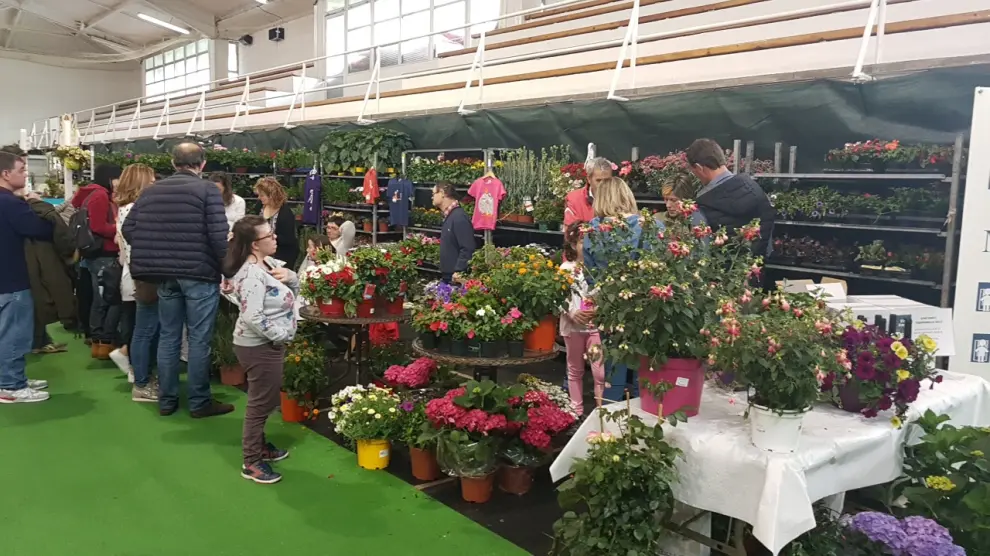 Expositores de flores y plantas en la Feria de Primavera de Biescas