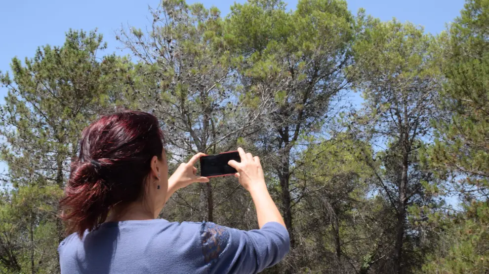 Una vigilante de los bosques hace una fotografía para subirla a la app de Alerta Forestal