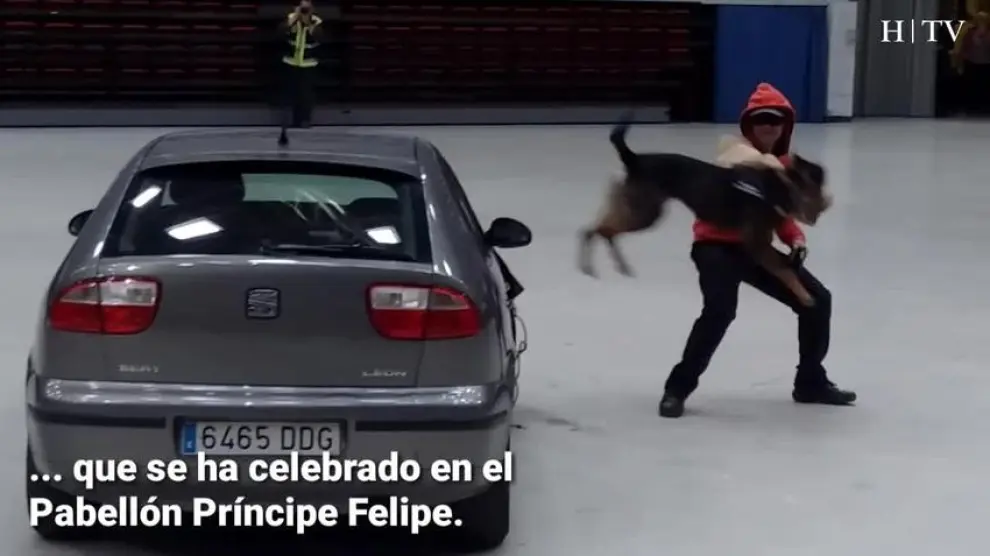 Los perros policía enseñan su trabajo a los niños zaragozanos