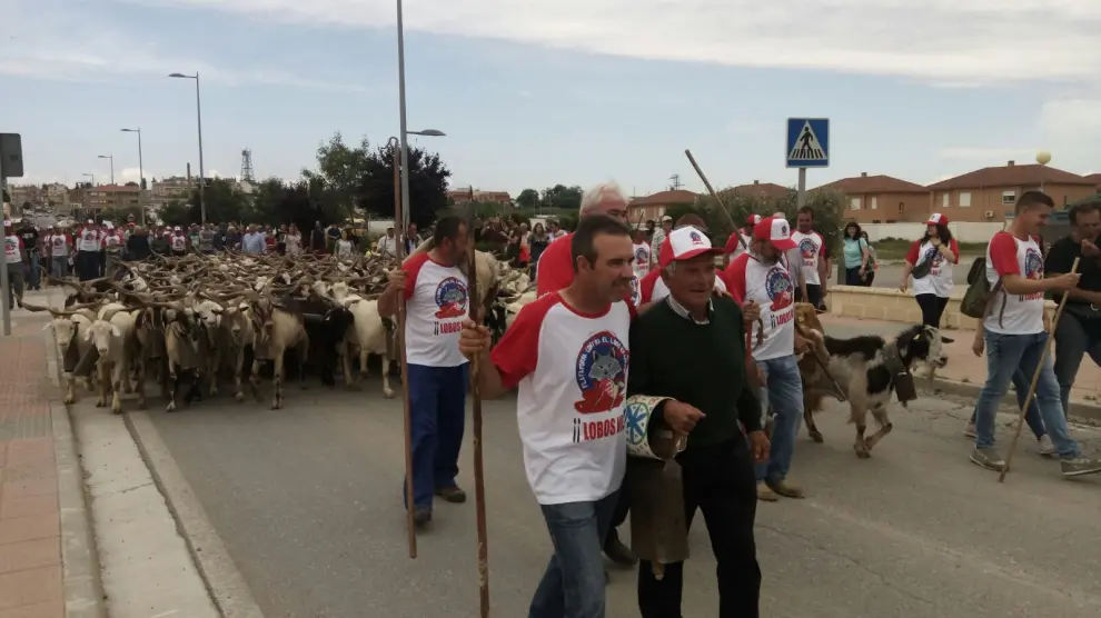 Medio centenar de manifestantes "por la defensa de la ganadería extensiva" frente al lobo