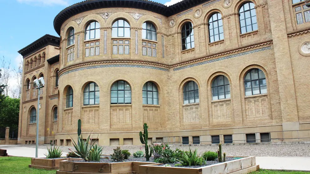 Un ejemplo de xerojardinería implantado tras el edificio del Paraninfo de la Universidad de Zaragoza