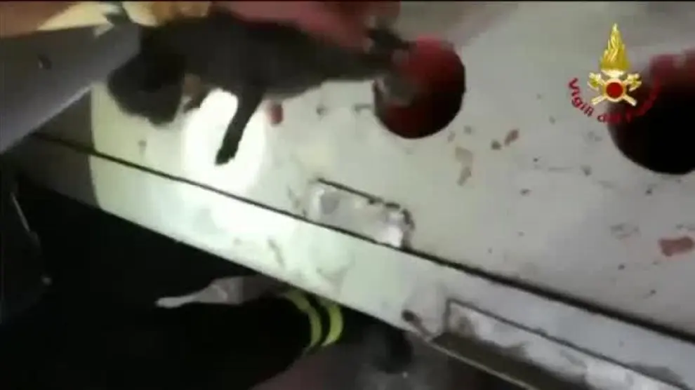 Bomberos italianos rescatan a tres gatitos atrapados en una tubería
