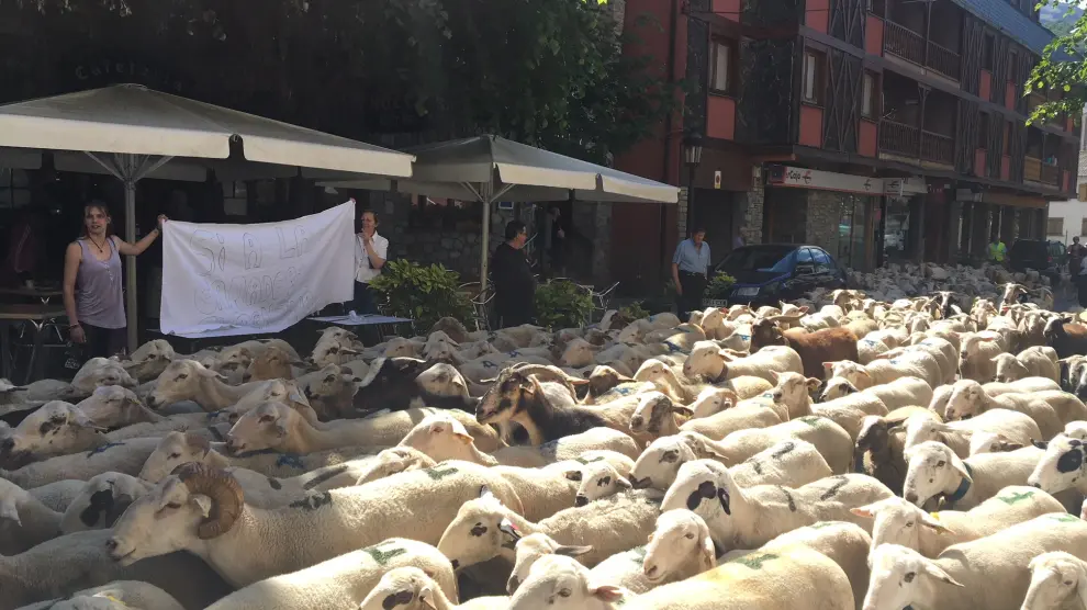 Los ganaderos de Benasque protestan contra el lobo