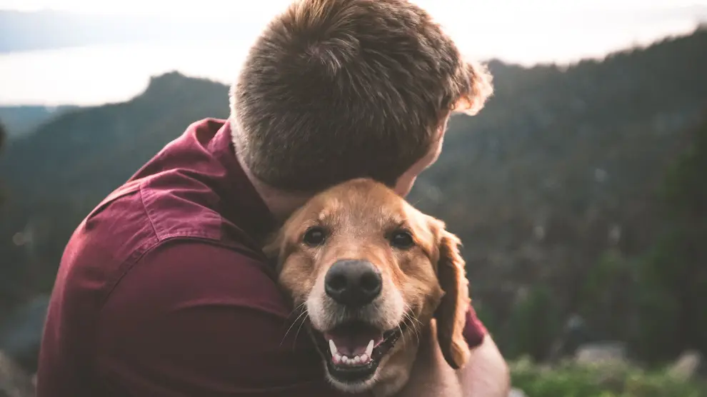 La forma en la que hablamos a los perros tiene algunos factores en común con las expresiones que usamos cuando nos dirigimos a los niños pequeños.