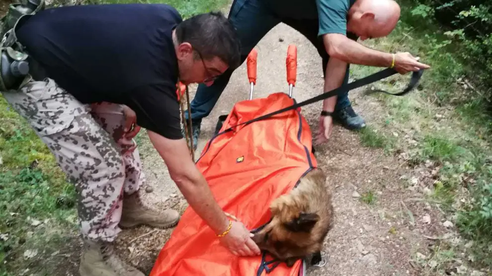 La Guardia Civil al rescate de un perro que sufrió un golpe de calor