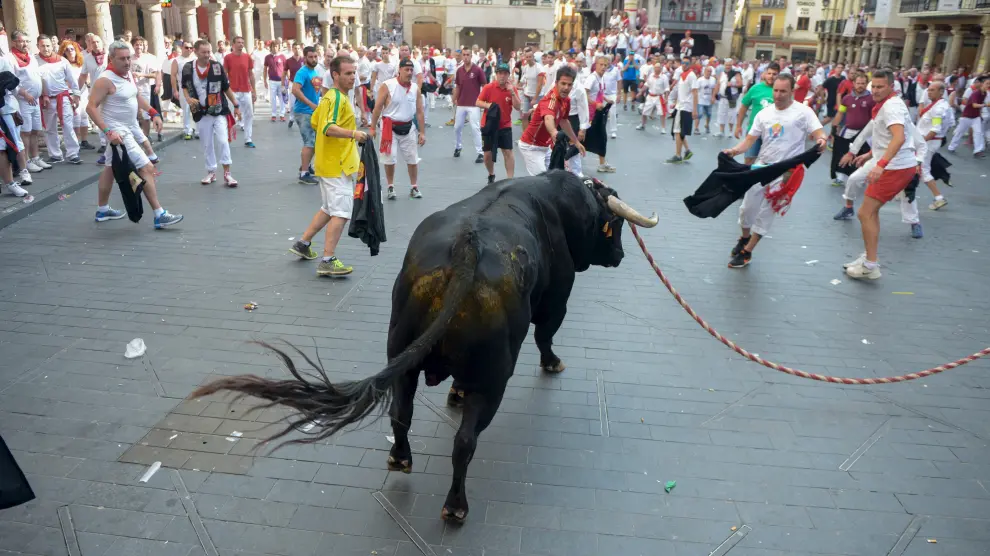 Uno de los toros entra con fuerza en la plaza del Torico, donde los vaquilleros lo esperan para tentarlo.