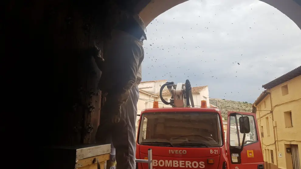 Los bomberos de la DPT, durante una intervención para retirar un enjambre de abejas.