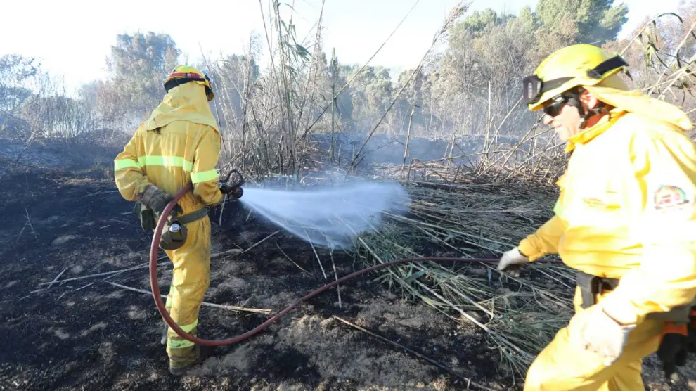 Agentes forestales en las tareas de extinción del incendio de Alcalá del Obispo.