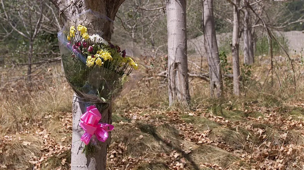 Flores en uno de los árboles donde se encontraba el campin de Biescas en el cuarto aniversario de la tragedia