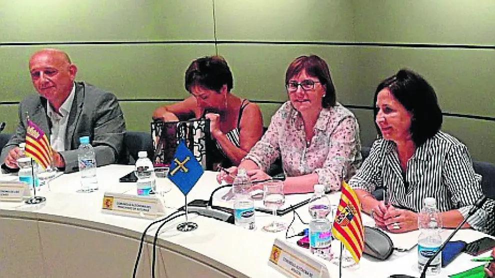 Teresa Sevillano a la derecha, durante el Consejo Sectorial de Inmigración celebrado en Madrid.