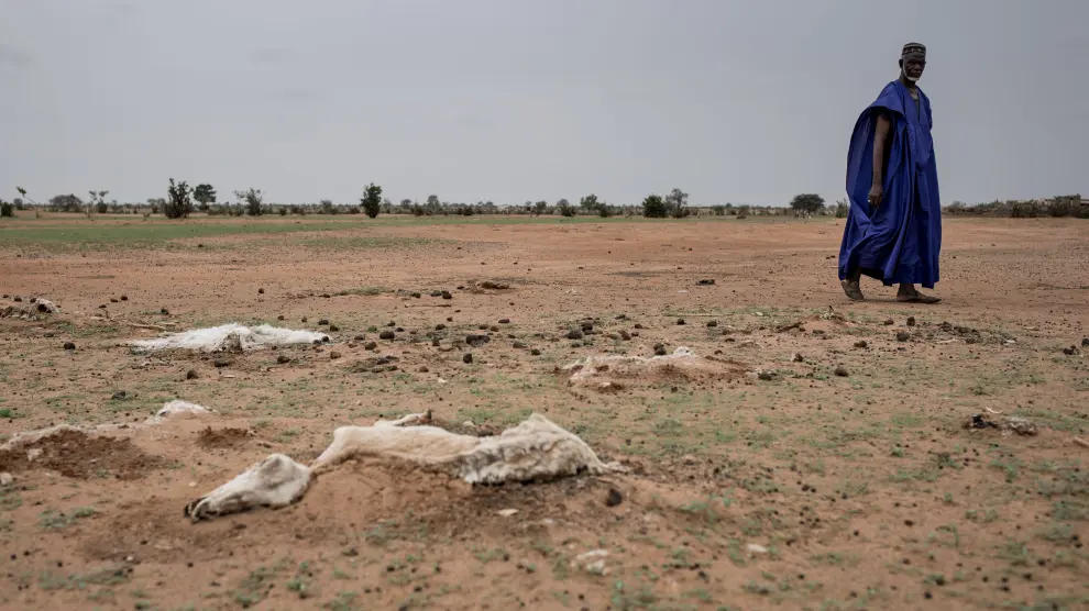 La tercera sequía en seis años deja sin comida a 245.000 personas en Senegal