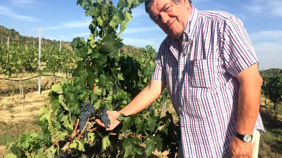 Ignacio Guallart, en su finca, donde se cultiva el vino que luego embotella bajo la marca Bodegas IGV.