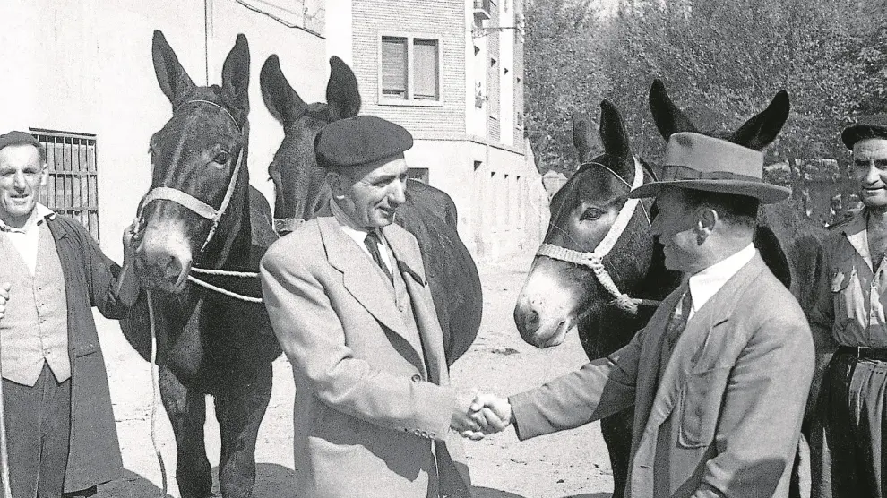 Dos hombres sellan un trato de ganado en una de las muchas ferias que se celebraban en Aragón en septiembre.