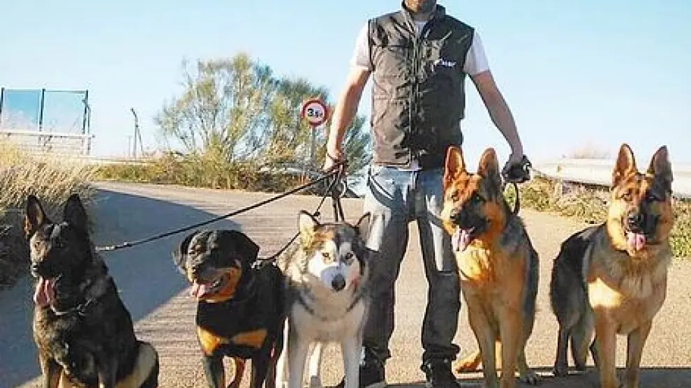 Javier de Vera es adiestrador y educador canino.