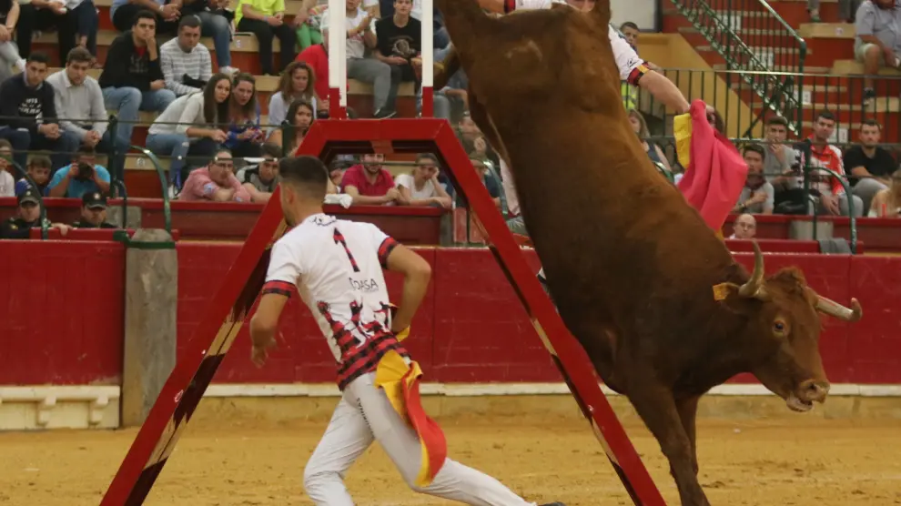 La mejor vaca del concurso, la 181 Anisera de Arriazu, baja de la tijera.