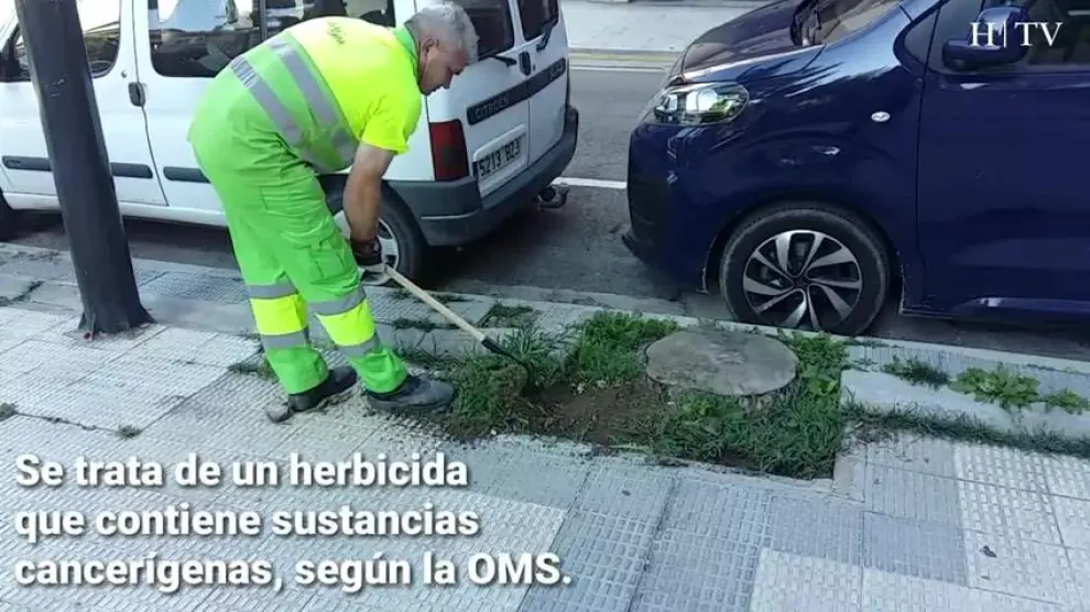 Zaragoza prueba alternativas para acabar con las malas hierbas sin el polémico glifosato