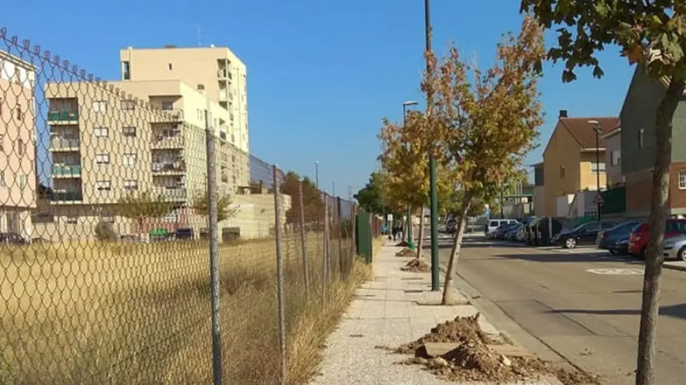La plantación de nuevos árboles se está llevando a cabo por todo el barrio