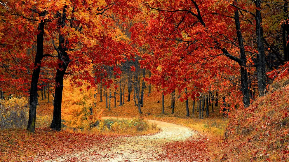 El otoño, la estación de los recuerdos, momentos únicos que puedes disfrutar con la portada de tu vida.