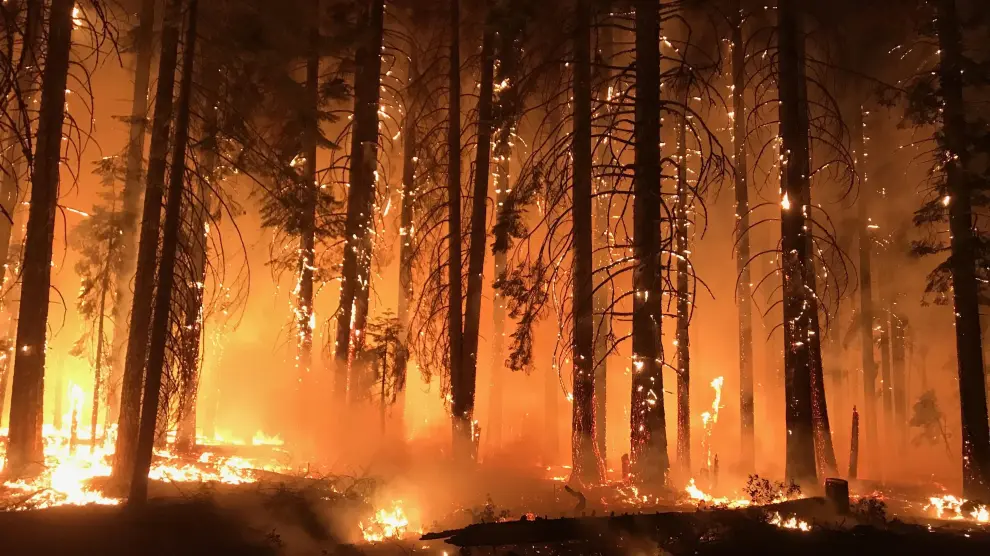 Incendio en California (EE. UU.)