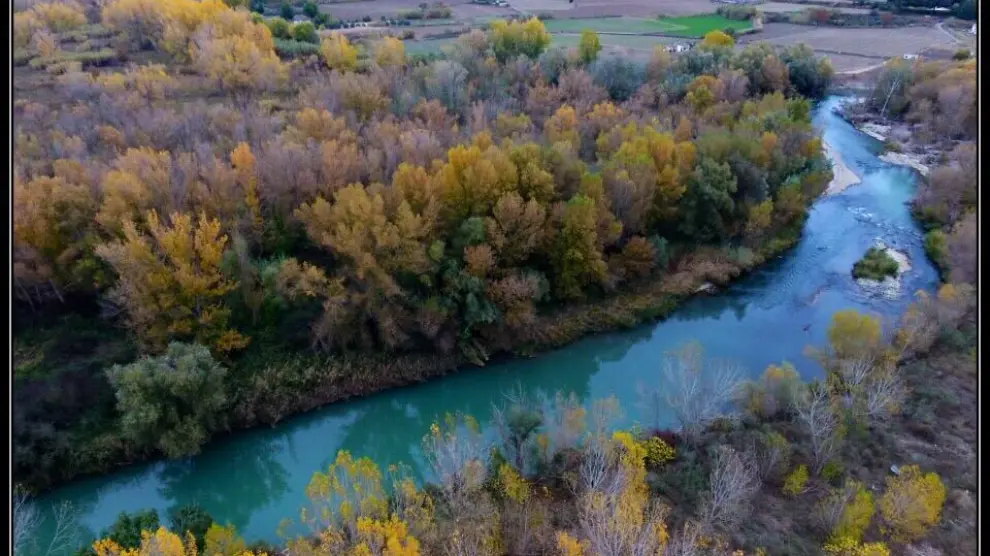 Una imagen de un tramo del río Gállego.