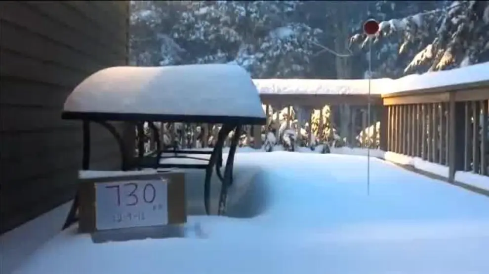 Una gran nevada deja a más de 380.000 personas sin electricidad