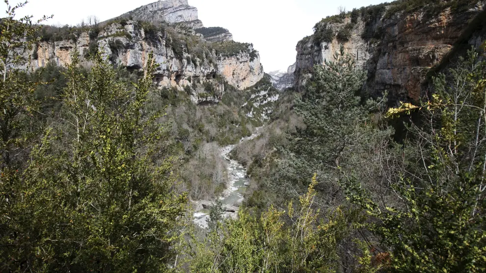 Una vista del cañón de Añisclo.