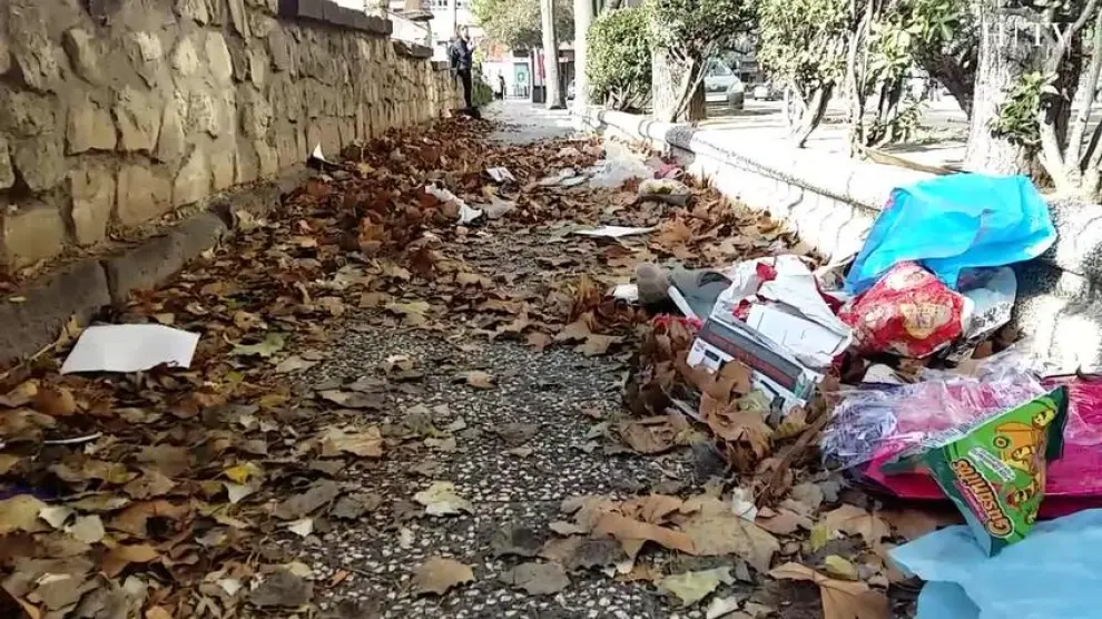 El cierzo extiende una alfombra desperdicios en Zaragoza