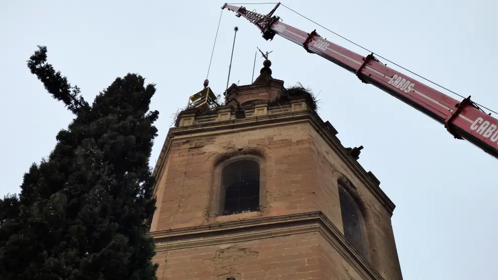 Trabajos de retirada de los nidos de cigüeña de la torre de la catedral de Barbastro.