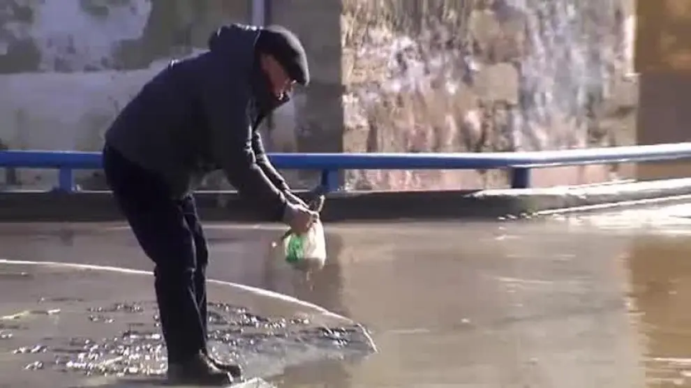 Recogen peces a mano en plena calle en Miranda de Ebro