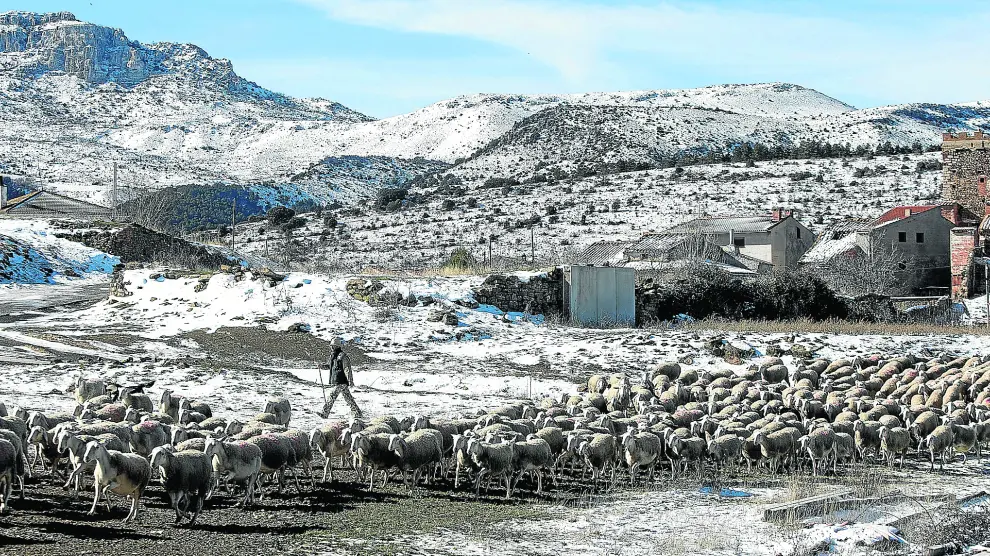 José Ramón San Miguel vigila el rebaño de ovejas de su familia. A su derecha, el pueblo de Bádenas.