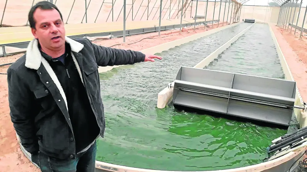 Yair Kohn, investigador de acuicultura, ante el tanque de cultivo de algas de la planta de Israel.