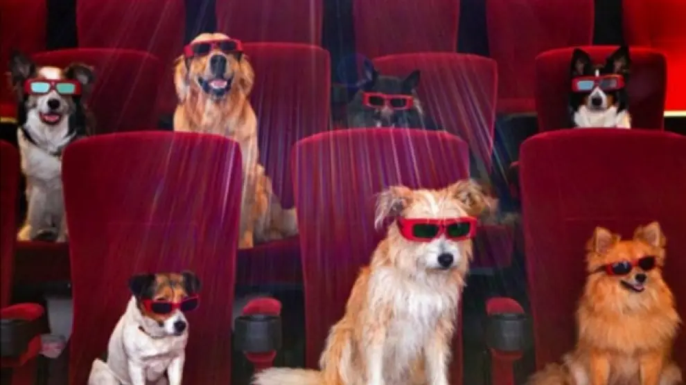 Un cine en Brasil abre sus puertas a 180 perros para un preestreno.
