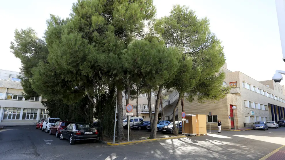 Zona de pinos junto al hospital San Jorge de Huesca donde se prevé construir el nuevo edificio de Urgencias.