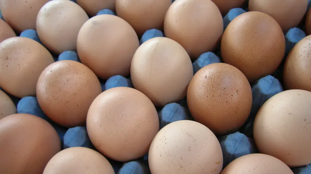 Cinco de las grandes superficies españolas han notificado que en 2025 dejarán de vender huevos de gallinas en jaula (tipo 3).