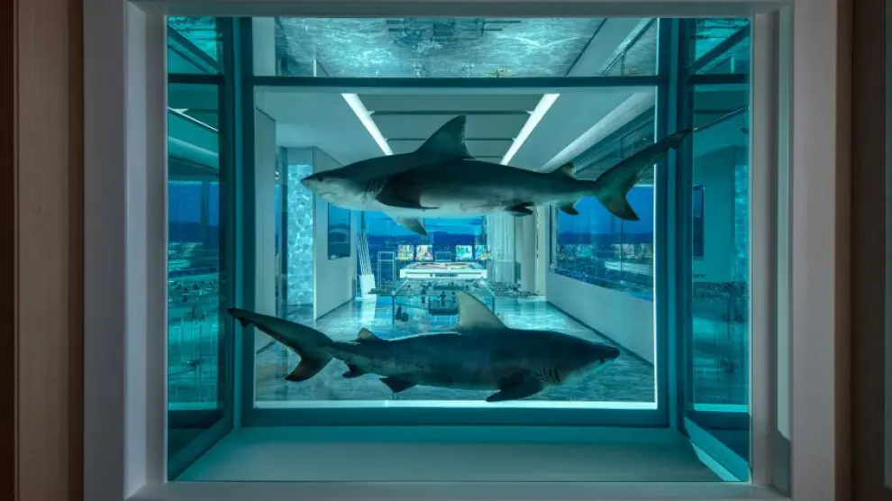 Dos tiburones en formol se exponen en una vitrina en la Suite Empathy del Hotel Palms Casino de Las Vegas