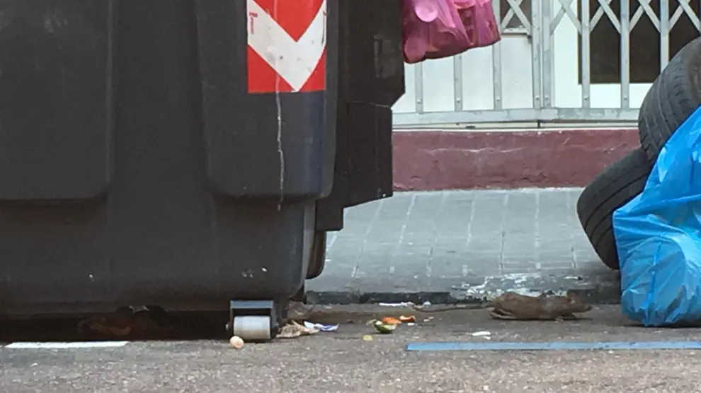Los vecinos de Escosura denuncian la presencia de ratas y basura en la vía pública.