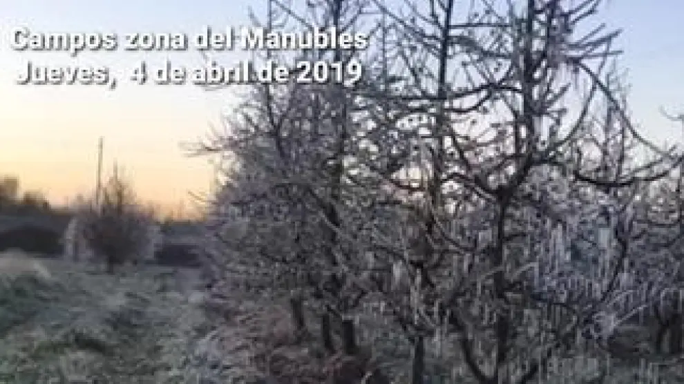 La noche del miércoles 3 de abril fue la peor, pero los fruticultores aragoneses llevan ya casi diez días luchando contra las bajas temperaturas
