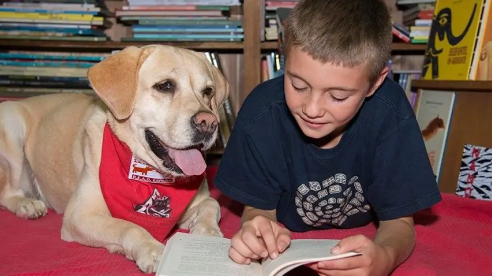 Perros que ayudan a los niños a leer