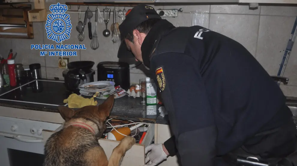 Un agente y un perro policía inspeccionan las instalaciones de la banda.