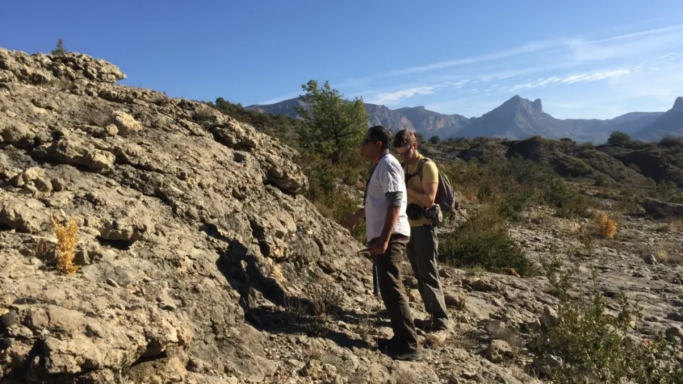 Fernando A. Ferratges y Marcos Aurell, dos de los autores del trabajo frente a un arrecife fósil del Eoceno del Pirineo.