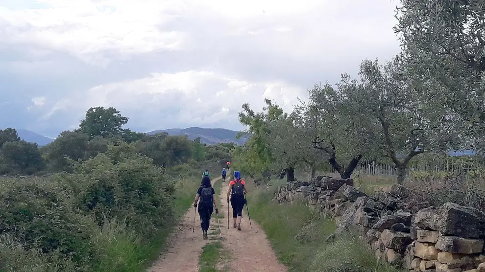 Nordic walking en el Somontano: camino de la Sierra Alta desde Salas Altas.