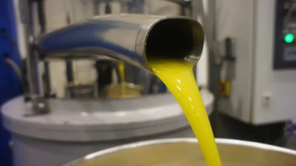 Extracción del aceite de oliva durante la molturación de las aceitunas en Flor de Sal.