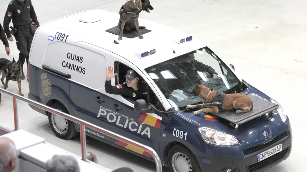 Exhibición de la Policía Nacional ante 4.000 estudiantes de centros educativos de Zaragoza y Calatayud.